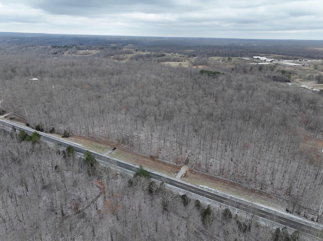 6072 New Highway 7, Santa Fe, TN 38482 - photo 7