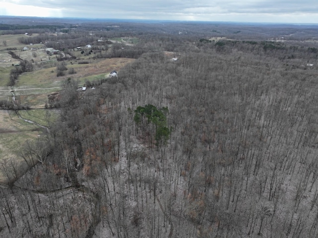 6072 New Highway 7, Santa Fe, TN 38482 - photo 11