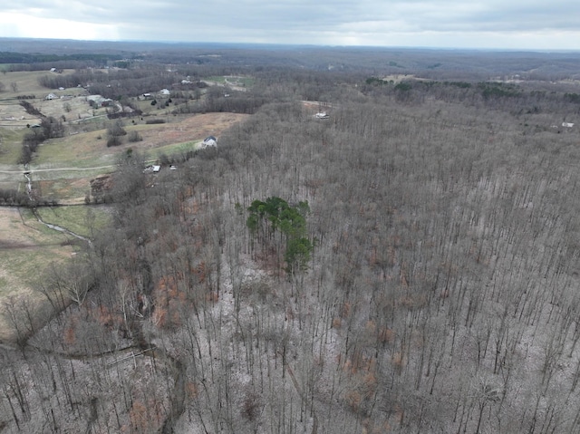 6072 New Highway 7, Santa Fe, TN 38482 - photo 12