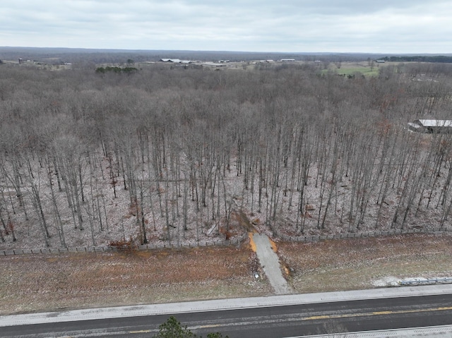6072 New Highway 7, Santa Fe, TN 38482 - photo 2