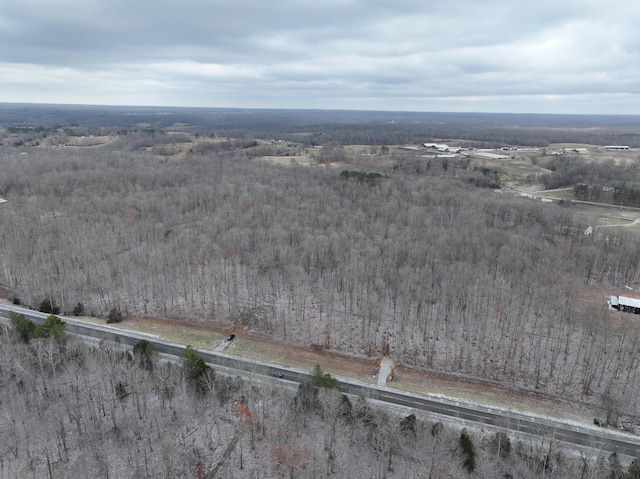 6072 New Highway 7, Santa Fe, TN 38482 - photo 8
