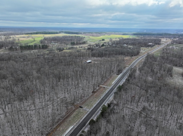 6072 New Highway 7, Santa Fe, TN 38482 - photo 6