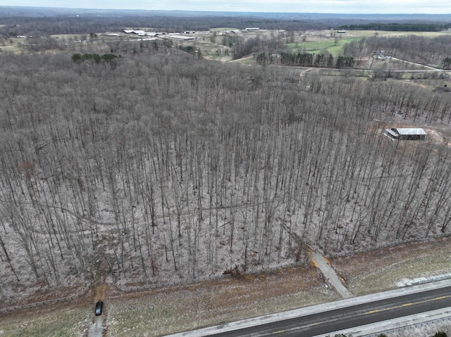 6072 New Highway 7, Santa Fe, TN 38482 - photo 5