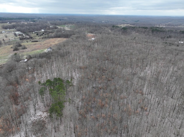 6072 New Highway 7, Santa Fe, TN 38482 - photo 14