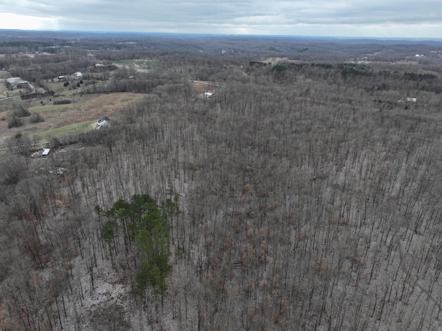 6072 New Highway 7, Santa Fe, TN 38482 - photo 10