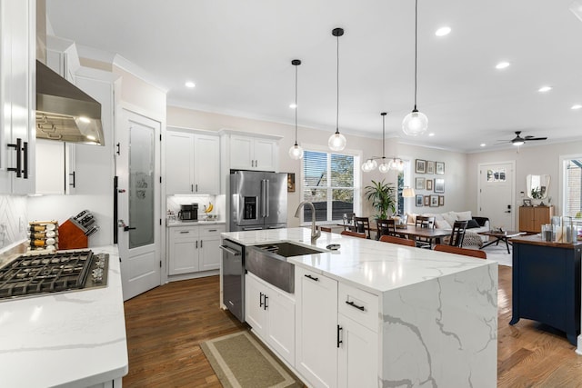 kitchen featuring dark wood-style flooring, tasteful backsplash, appliances with stainless steel finishes, a sink, and under cabinet range hood