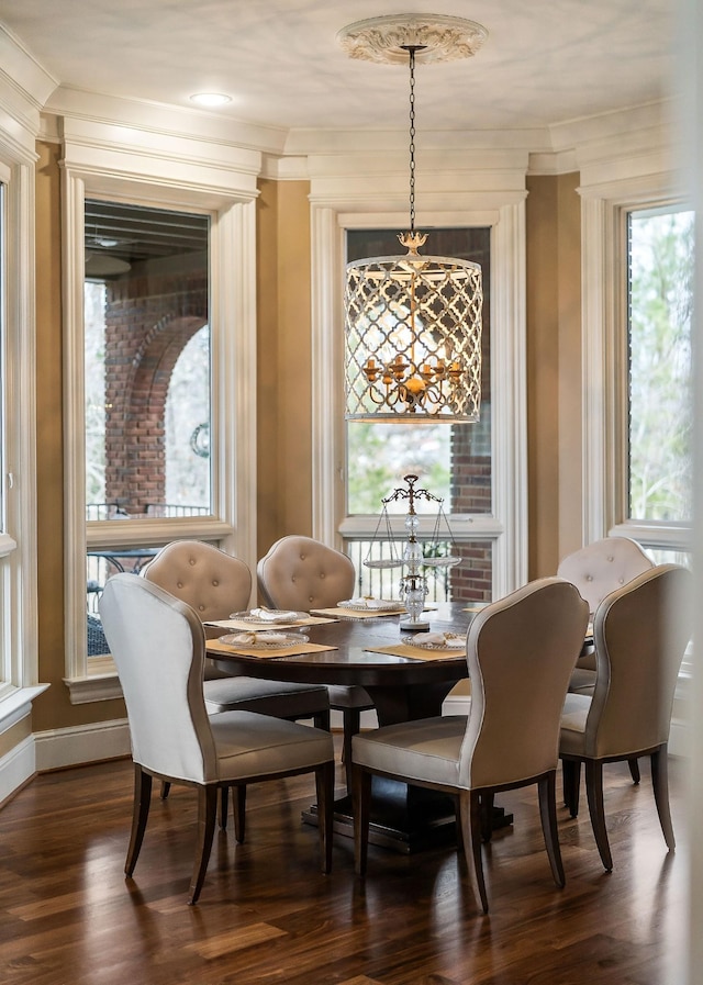 dining area featuring crown molding and dark hardwood / wood-style floors