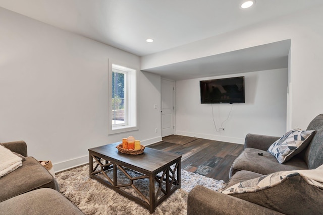 living room featuring dark wood-type flooring