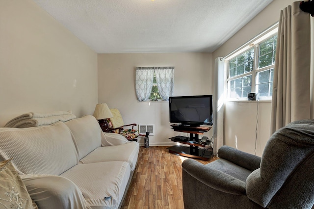 living room featuring hardwood / wood-style floors and a textured ceiling