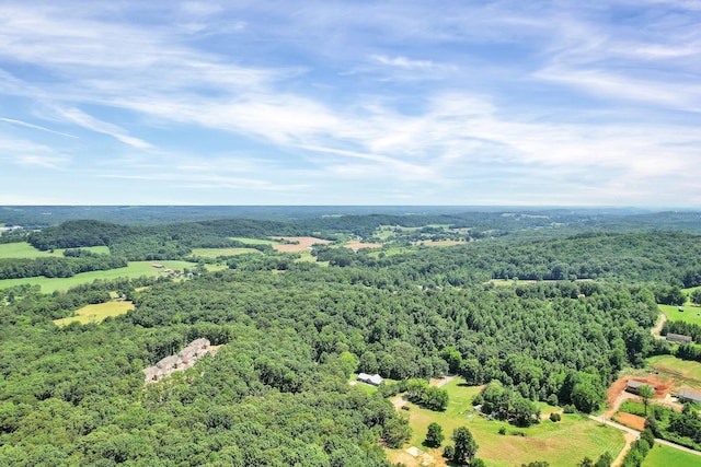 aerial view