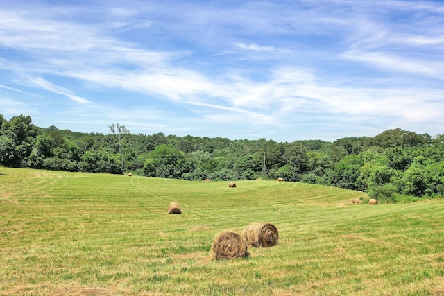 view of local wilderness with a rural view