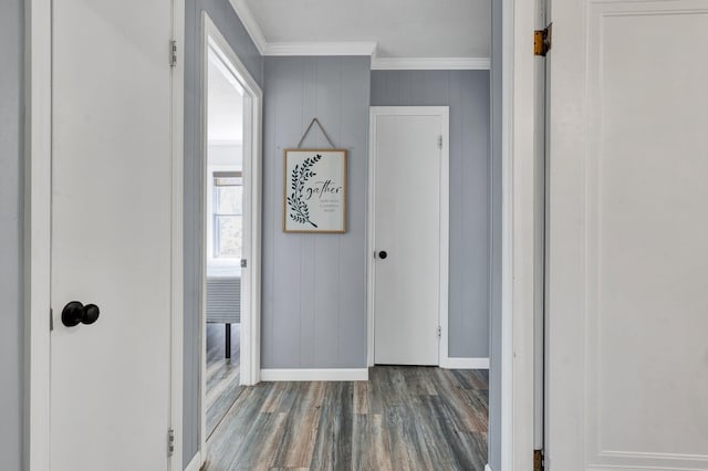 hallway with dark wood-type flooring and ornamental molding