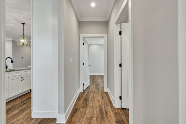 hall with crown molding, dark hardwood / wood-style flooring, and sink