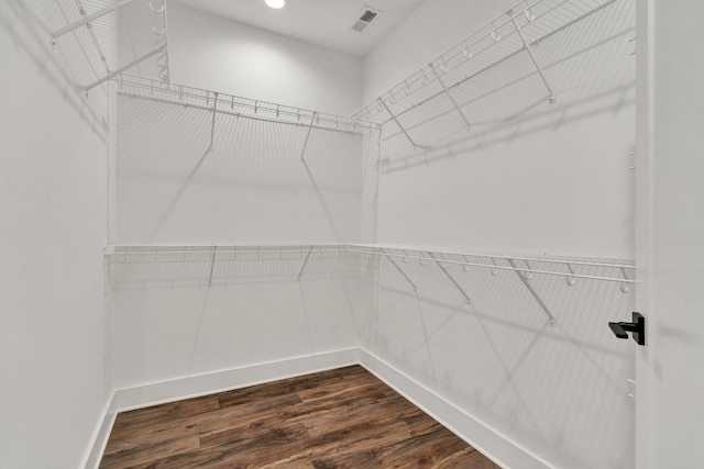 spacious closet featuring dark wood-type flooring