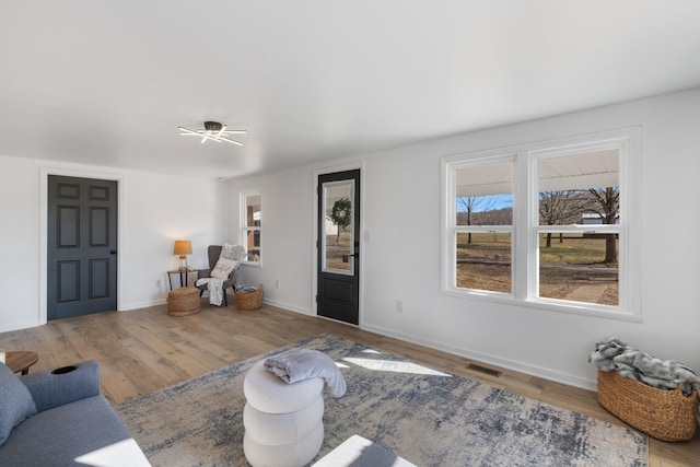 living room featuring hardwood / wood-style floors