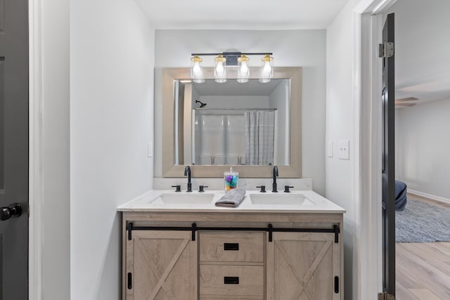 bathroom featuring hardwood / wood-style flooring and vanity