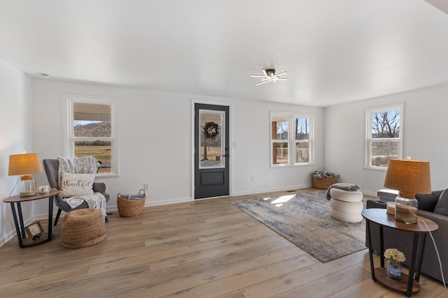 living room featuring light hardwood / wood-style flooring