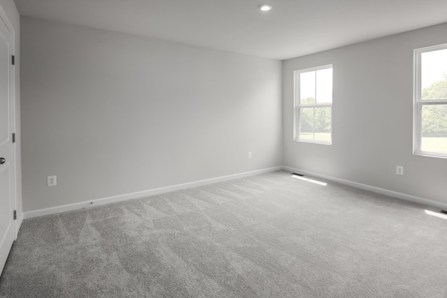 spare room featuring carpet floors and a wealth of natural light