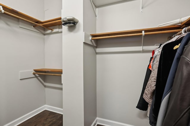 walk in closet with dark hardwood / wood-style floors