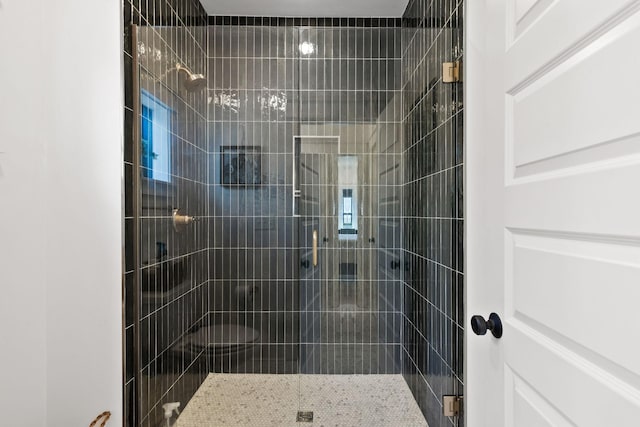 bathroom featuring a shower with shower door