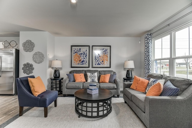 living room featuring hardwood / wood-style floors