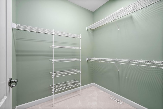 spacious closet featuring carpet floors