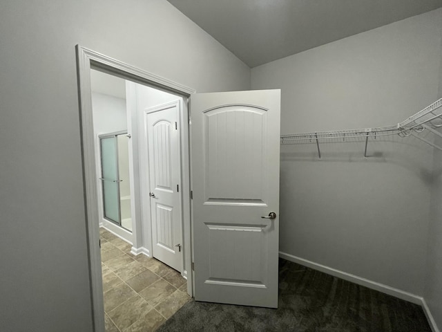 spacious closet featuring vaulted ceiling