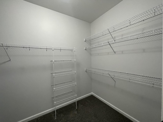 walk in closet featuring carpet flooring