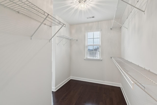 walk in closet featuring hardwood / wood-style flooring