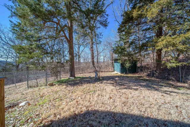 view of yard with a storage unit