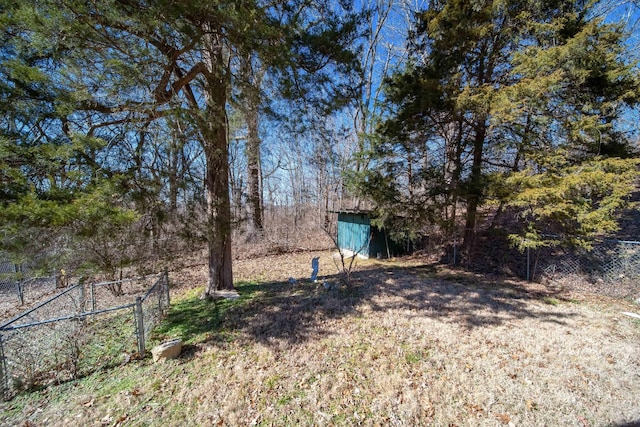 view of yard with a storage unit