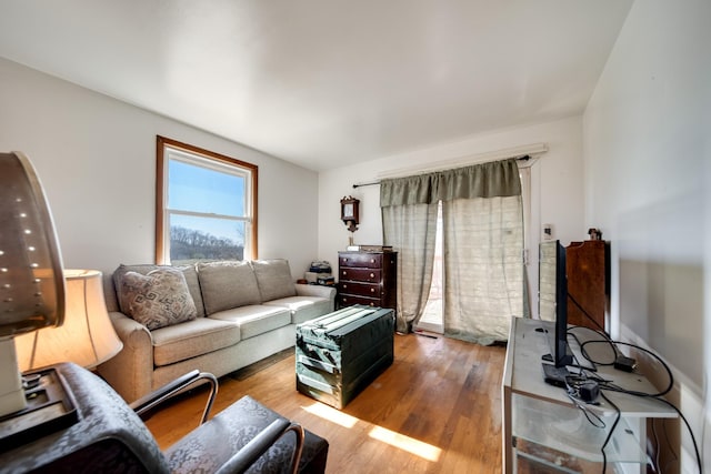 living room with wood-type flooring