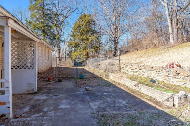 view of yard featuring a patio area