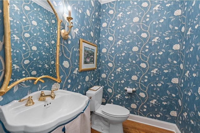 bathroom with hardwood / wood-style flooring, toilet, and sink