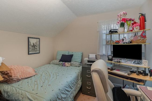 bedroom featuring lofted ceiling and a textured ceiling