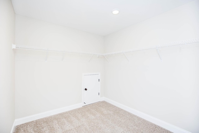 laundry room featuring carpet