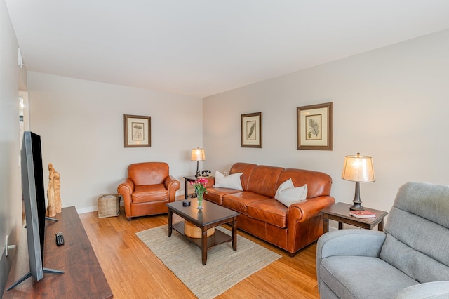 living room with light hardwood / wood-style floors