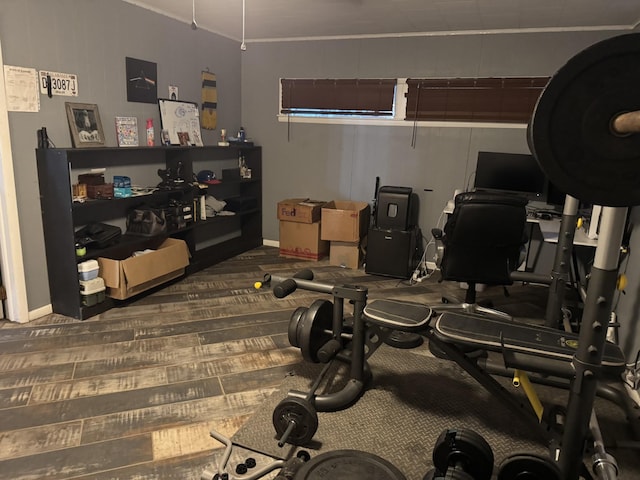 exercise room featuring crown molding and carpet flooring