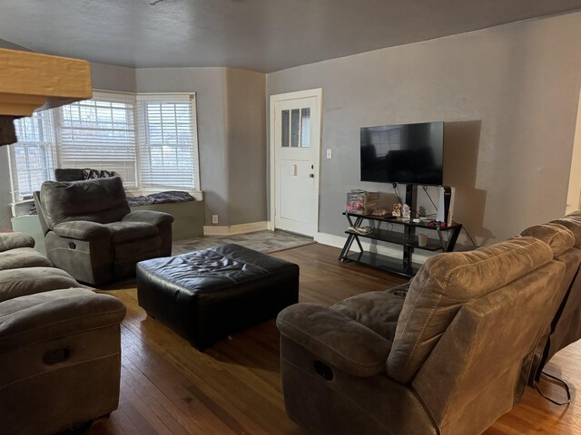 living room with dark hardwood / wood-style flooring