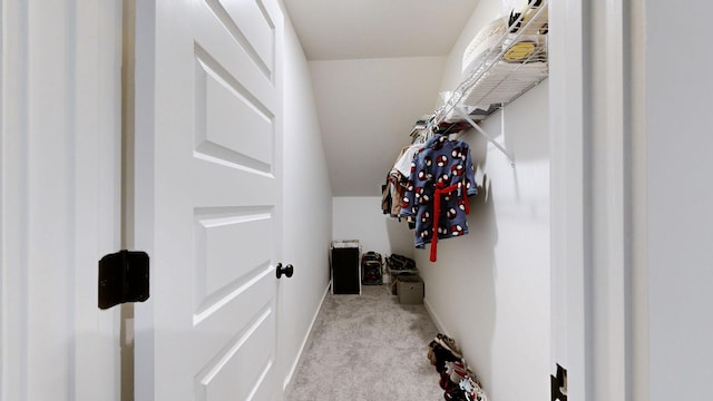 spacious closet featuring light carpet