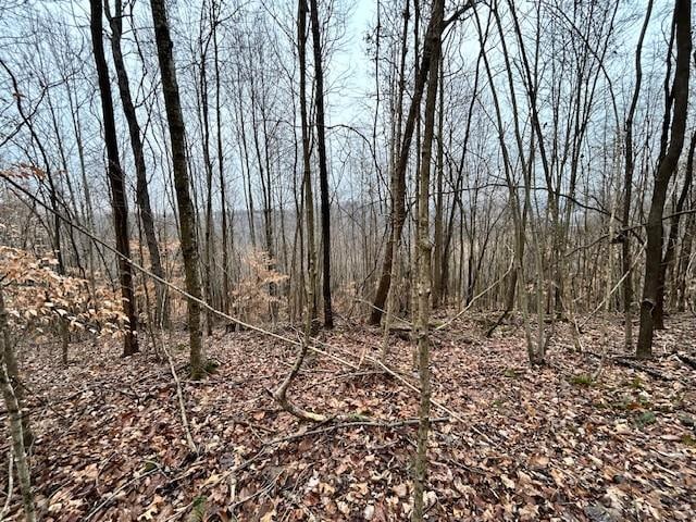 Listing photo 3 for 0 Hensley Chapel Rd, Sparta TN 38583