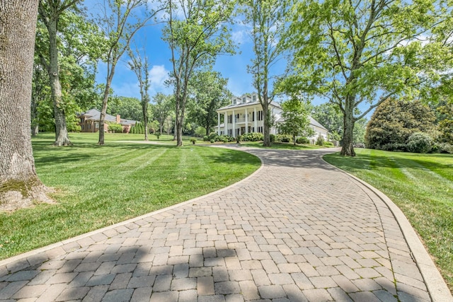 view of property's community with a yard