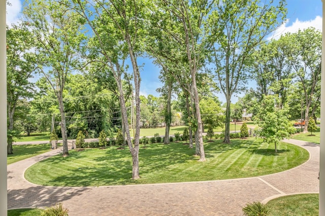 view of community featuring a lawn