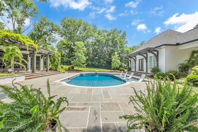 view of swimming pool with a patio