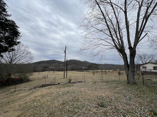 view of yard with a rural view and a mountain view