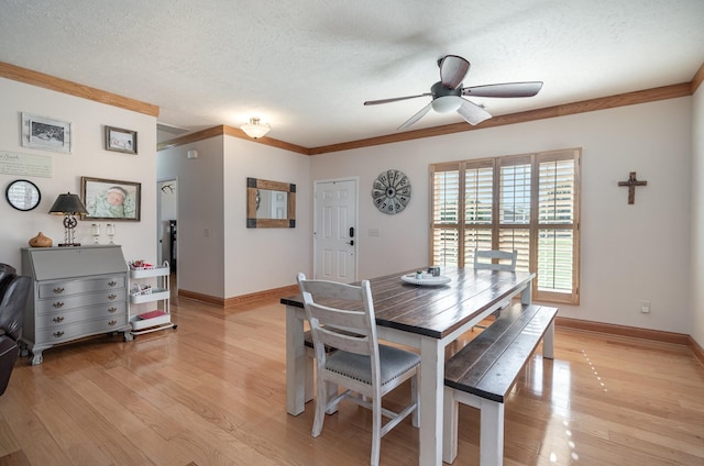 dining room featuring crown molding, ceiling fan, light hardwood / wood-style floors, and a textured ceiling