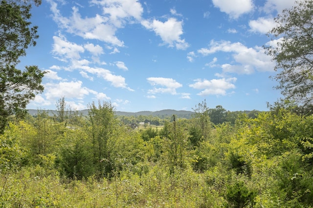 view of nature with a mountain view