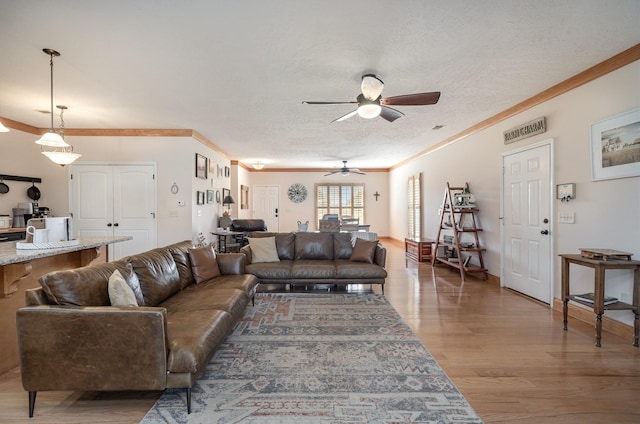 living room featuring crown molding, ceiling fan, hardwood / wood-style flooring, and a textured ceiling