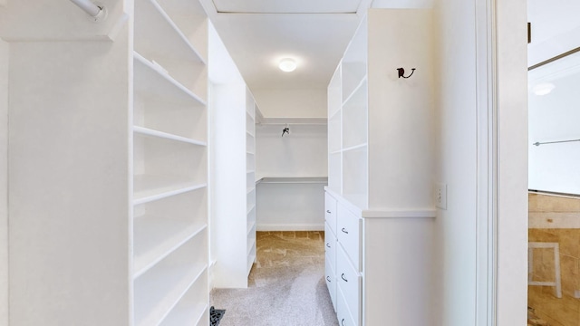 walk in closet with light carpet