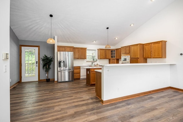 kitchen featuring dark hardwood / wood-style flooring, decorative light fixtures, plenty of natural light, and stainless steel appliances